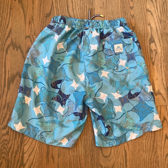Peter Millar “RAYS” Summer Swim short - Picture 5 of 6